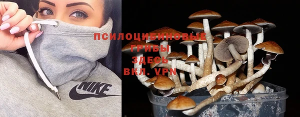 первитин Арсеньев