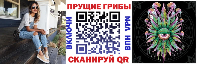 Псилоцибиновые грибы Psilocybe  как найти   Колпашево 